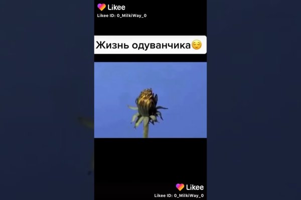 Не получается зайти на кракен