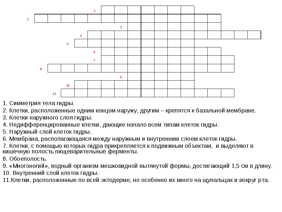 Что за маркетплейс кракен